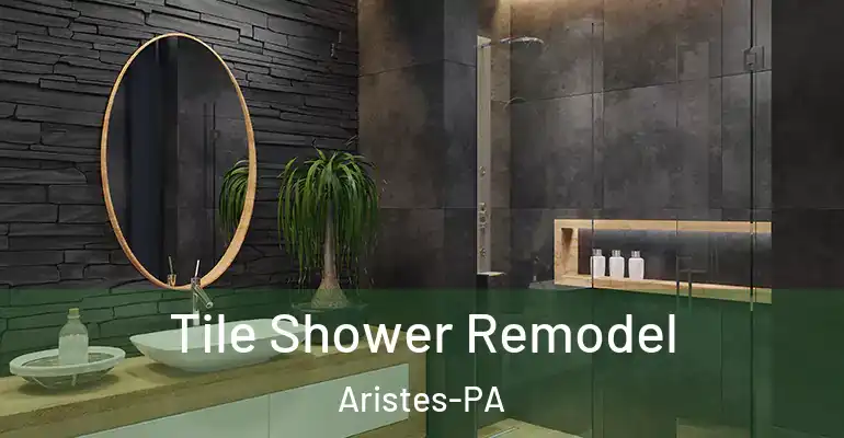 inner Bathroom imggen Tile Shower Remodel Aristes-PA