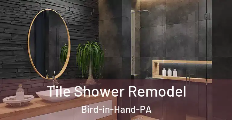 inner Bathroom imggen Tile Shower Remodel Bird-in-Hand-PA