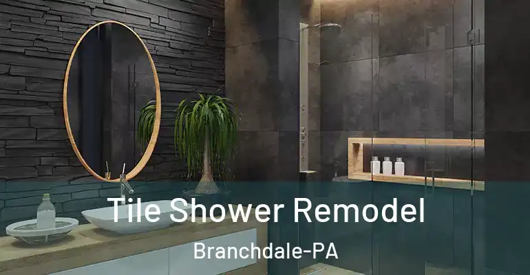 inner Bathroom imggen Tile Shower Remodel Branchdale-PA