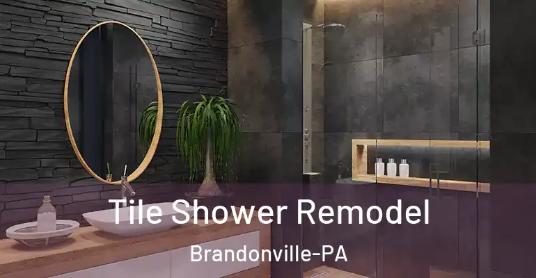 inner Bathroom imggen Tile Shower Remodel Brandonville-PA