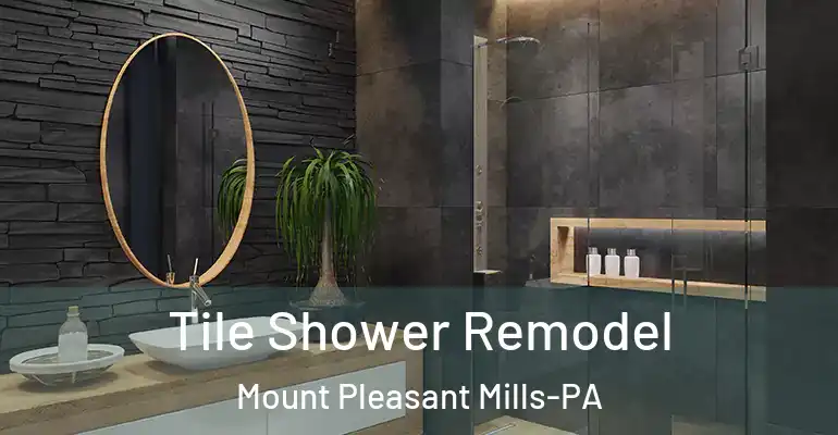 inner Bathroom imggen Tile Shower Remodel Mount Pleasant Mills-PA