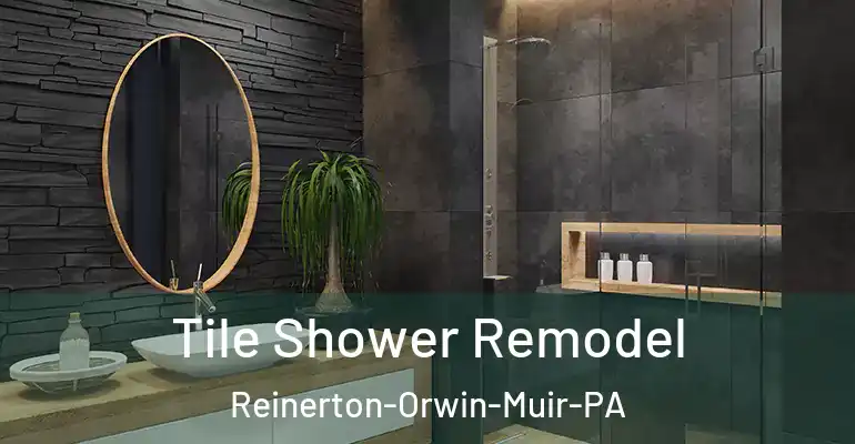 inner Bathroom imggen Tile Shower Remodel Reinerton-Orwin-Muir-PA