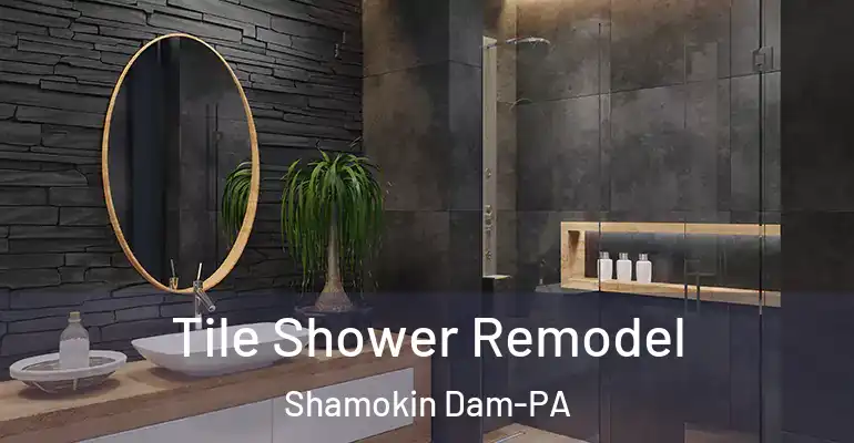 inner Bathroom imggen Tile Shower Remodel Shamokin Dam-PA