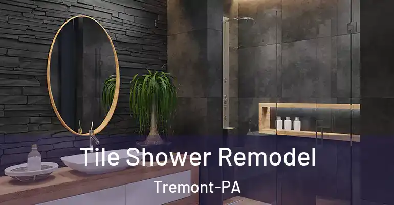 inner Bathroom imggen Tile Shower Remodel Tremont-PA