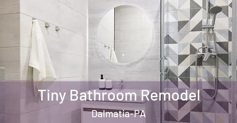 inner Bathroom imggen Tiny Bathroom Remodel Dalmatia-PA