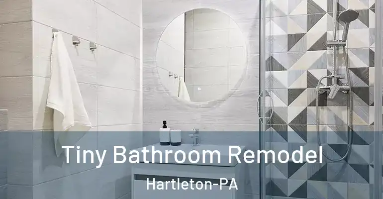 inner Bathroom imggen Tiny Bathroom Remodel Hartleton-PA
