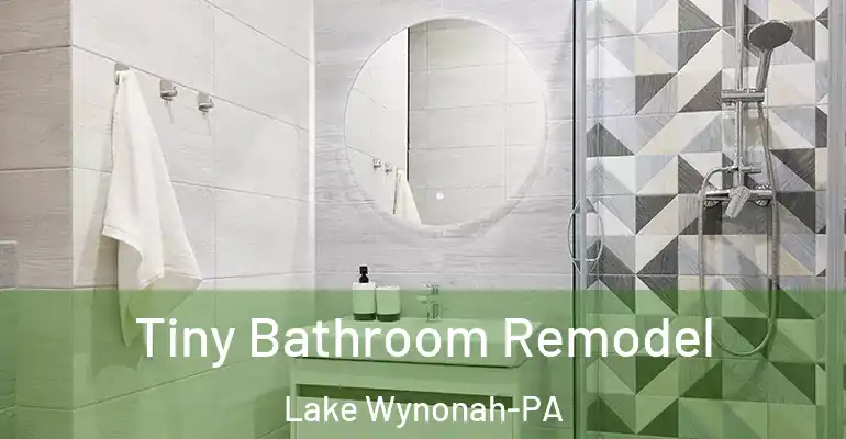 inner Bathroom imggen Tiny Bathroom Remodel Lake Wynonah-PA
