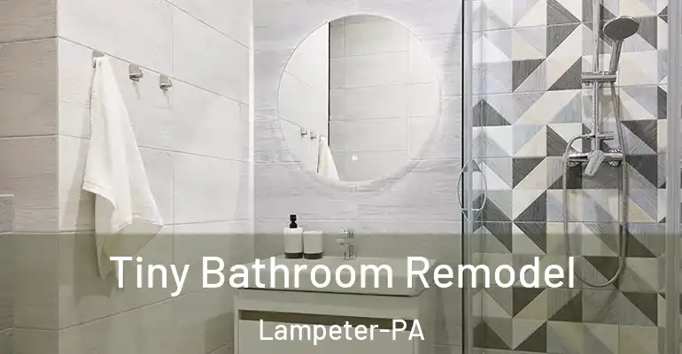 inner Bathroom imggen Tiny Bathroom Remodel Lampeter-PA