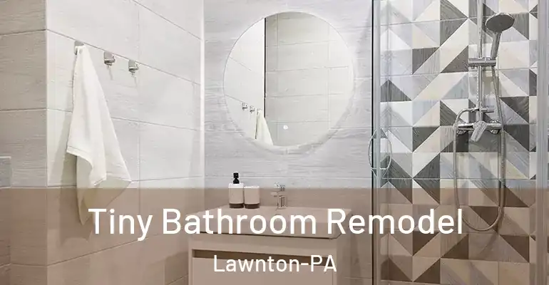 inner Bathroom imggen Tiny Bathroom Remodel Lawnton-PA
