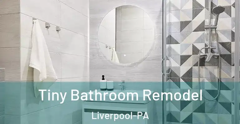 inner Bathroom imggen Tiny Bathroom Remodel Liverpool-PA