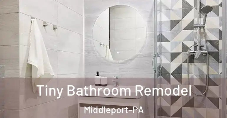 inner Bathroom imggen Tiny Bathroom Remodel Middleport-PA