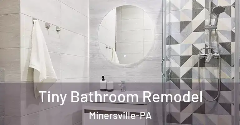 inner Bathroom imggen Tiny Bathroom Remodel Minersville-PA