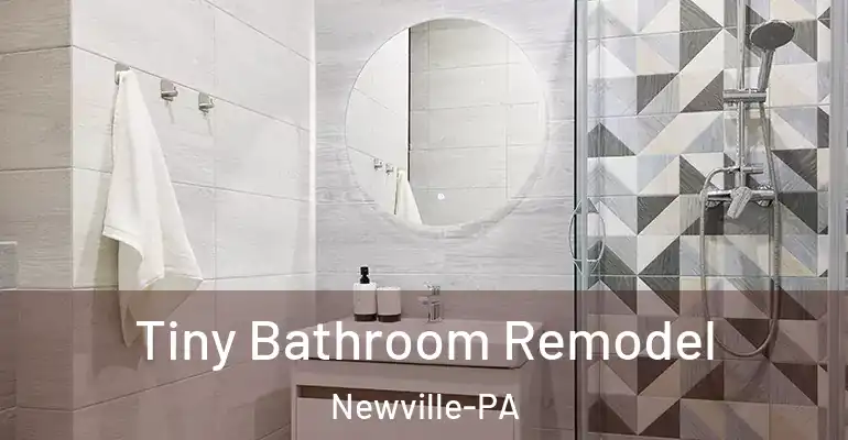 inner Bathroom imggen Tiny Bathroom Remodel Newville-PA