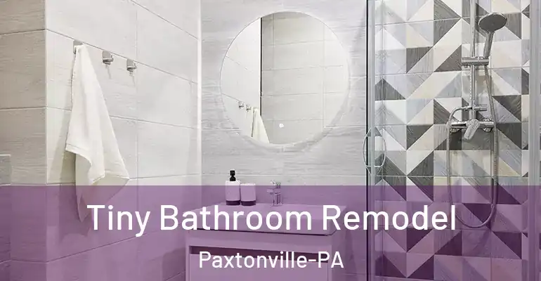 inner Bathroom imggen Tiny Bathroom Remodel Paxtonville-PA