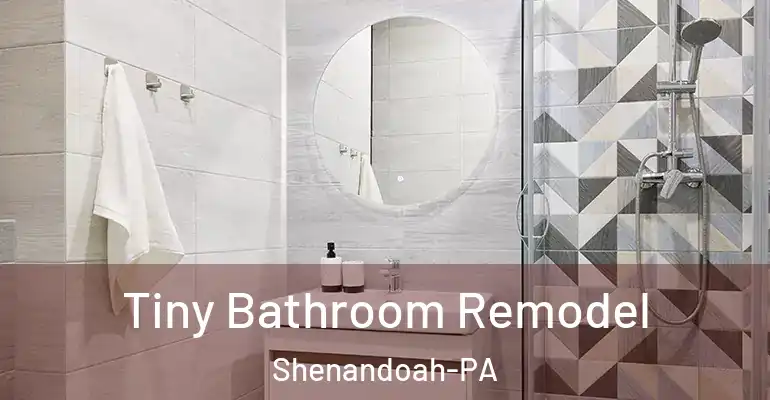 inner Bathroom imggen Tiny Bathroom Remodel Shenandoah-PA