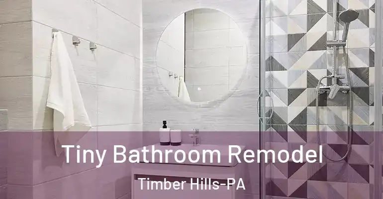 inner Bathroom imggen Tiny Bathroom Remodel Timber Hills-PA