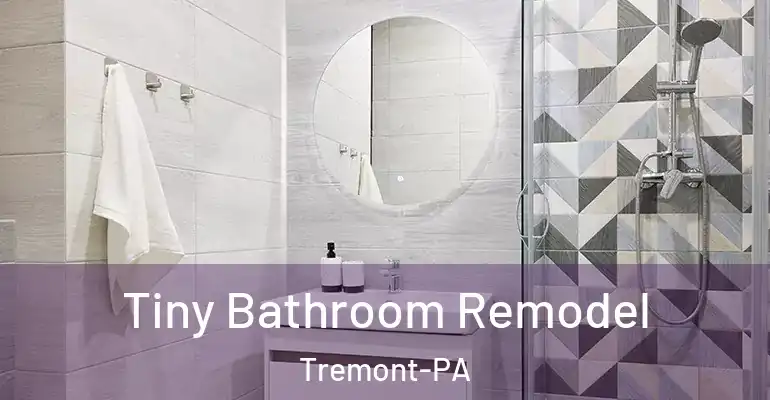 inner Bathroom imggen Tiny Bathroom Remodel Tremont-PA