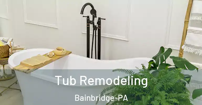 inner Bathroom imggen Tub Remodeling Bainbridge-PA