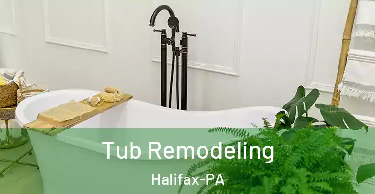 inner Bathroom imggen Tub Remodeling Halifax-PA