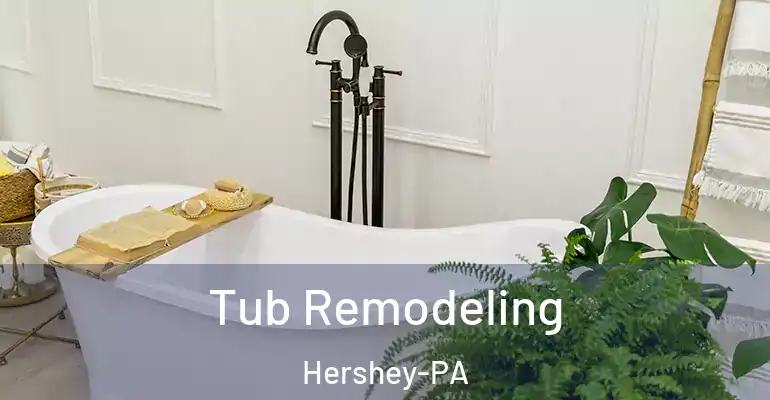 inner Bathroom imggen Tub Remodeling Hershey-PA