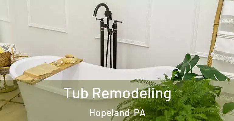 inner Bathroom imggen Tub Remodeling Hopeland-PA