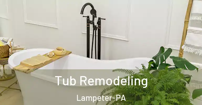 inner Bathroom imggen Tub Remodeling Lampeter-PA