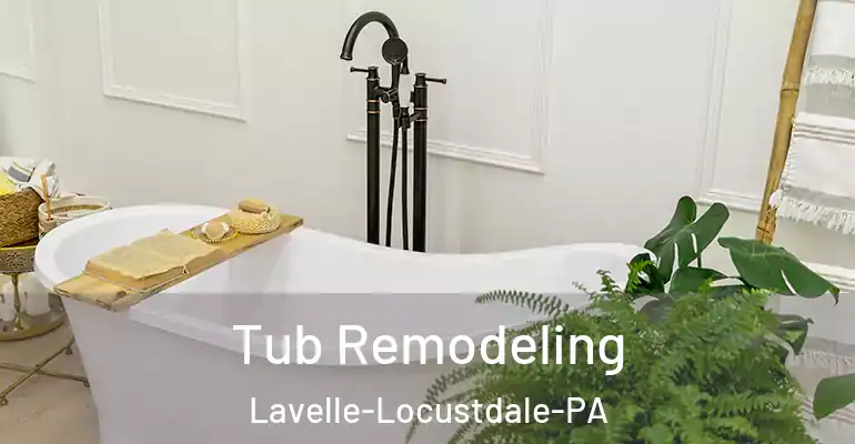 inner Bathroom imggen Tub Remodeling Lavelle-Locustdale-PA