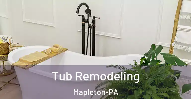 inner Bathroom imggen Tub Remodeling Mapleton-PA