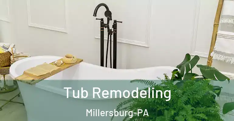 inner Bathroom imggen Tub Remodeling Millersburg-PA
