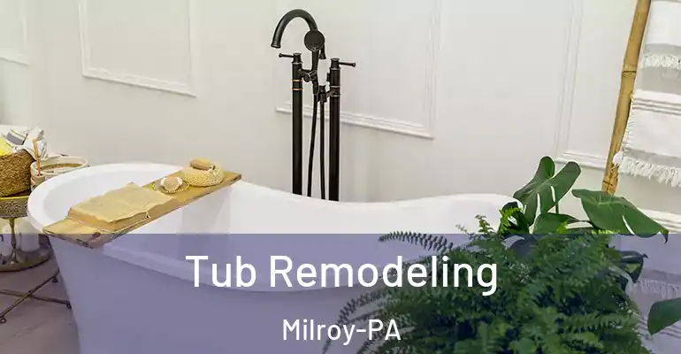 inner Bathroom imggen Tub Remodeling Milroy-PA