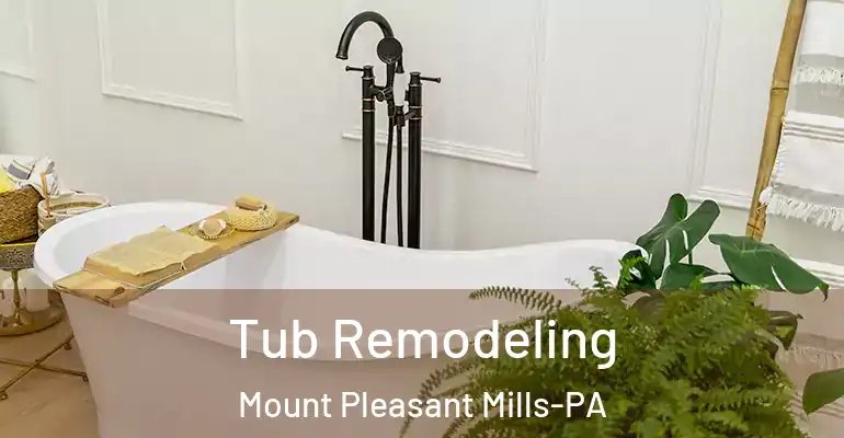 inner Bathroom imggen Tub Remodeling Mount Pleasant Mills-PA