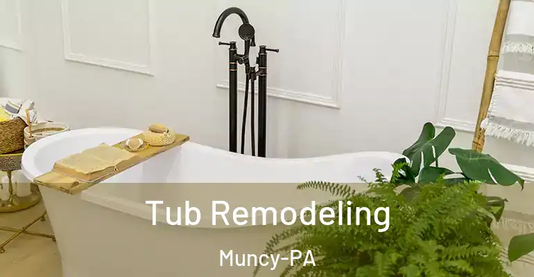 inner Bathroom imggen Tub Remodeling Muncy-PA