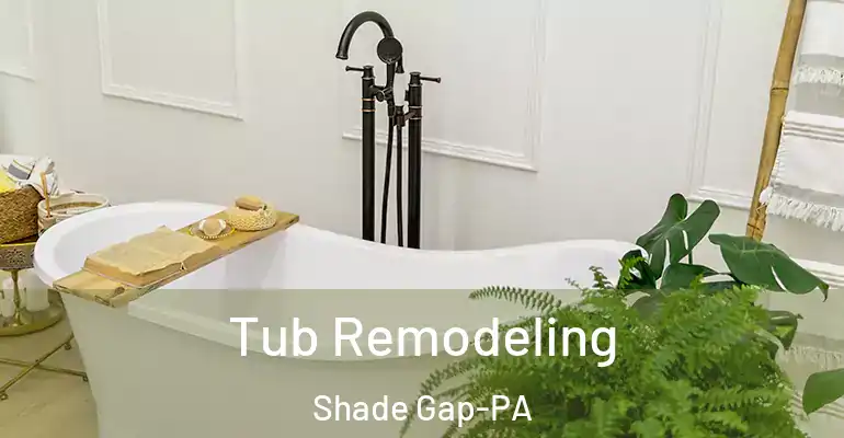 inner Bathroom imggen Tub Remodeling Shade Gap-PA