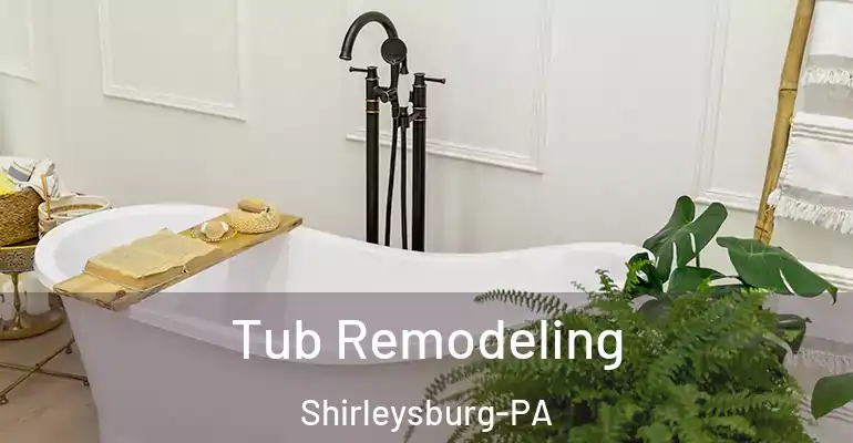 inner Bathroom imggen Tub Remodeling Shirleysburg-PA