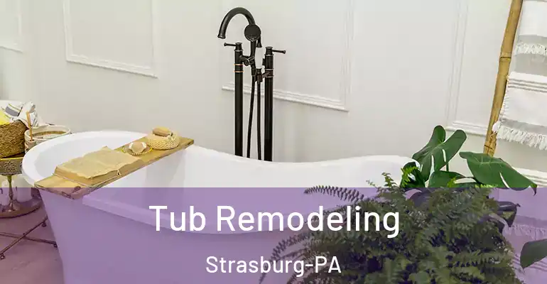 inner Bathroom imggen Tub Remodeling Strasburg-PA