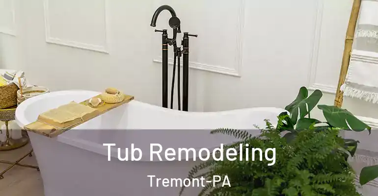 inner Bathroom imggen Tub Remodeling Tremont-PA