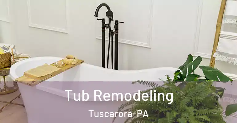 inner Bathroom imggen Tub Remodeling Tuscarora-PA