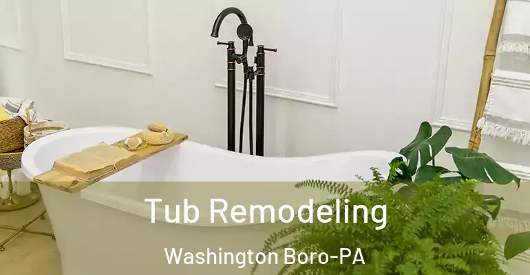 inner Bathroom imggen Tub Remodeling Washington Boro-PA