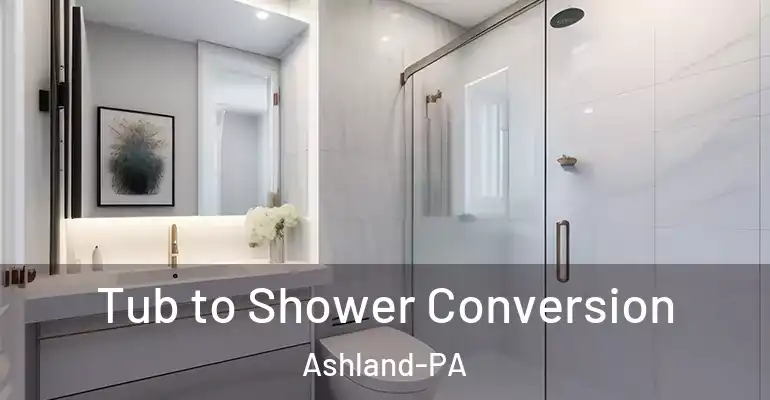 inner Bathroom imggen Tub to Shower Conversion Ashland-PA