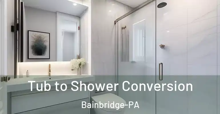 inner Bathroom imggen Tub to Shower Conversion Bainbridge-PA