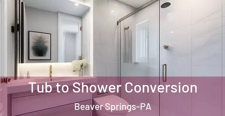inner Bathroom imggen Tub to Shower Conversion Beaver Springs-PA
