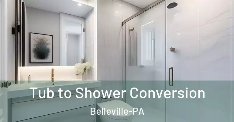 inner Bathroom imggen Tub to Shower Conversion Belleville-PA