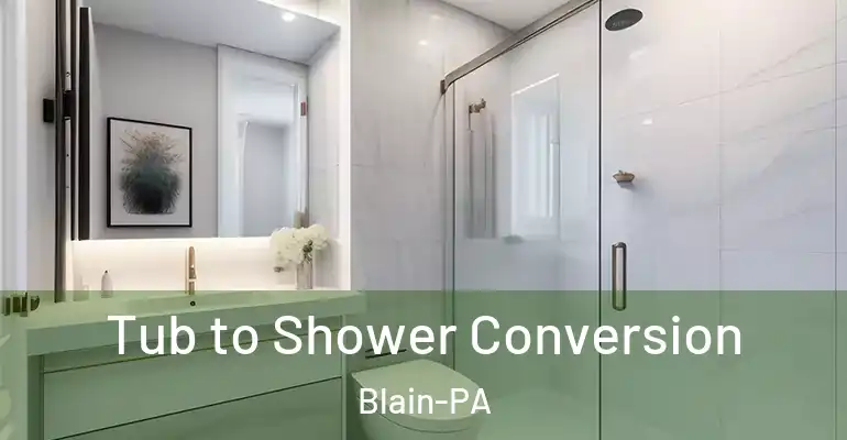 inner Bathroom imggen Tub to Shower Conversion Blain-PA