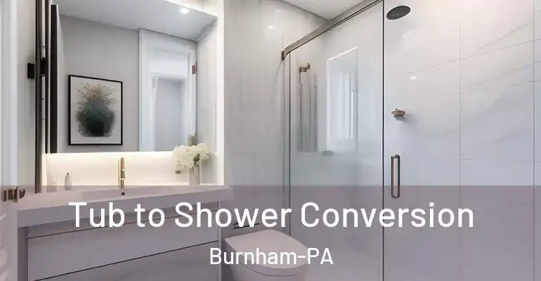 inner Bathroom imggen Tub to Shower Conversion Burnham-PA