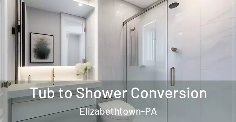 inner Bathroom imggen Tub to Shower Conversion Elizabethtown-PA
