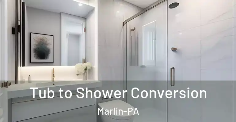 inner Bathroom imggen Tub to Shower Conversion Marlin-PA