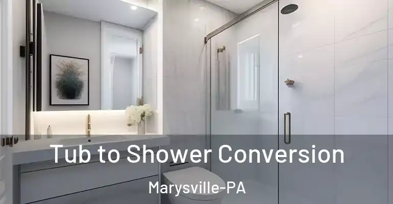 inner Bathroom imggen Tub to Shower Conversion Marysville-PA