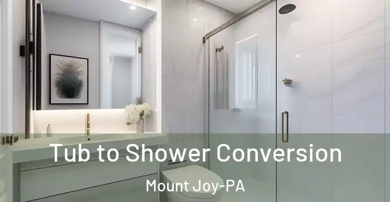 inner Bathroom imggen Tub to Shower Conversion Mount Joy-PA