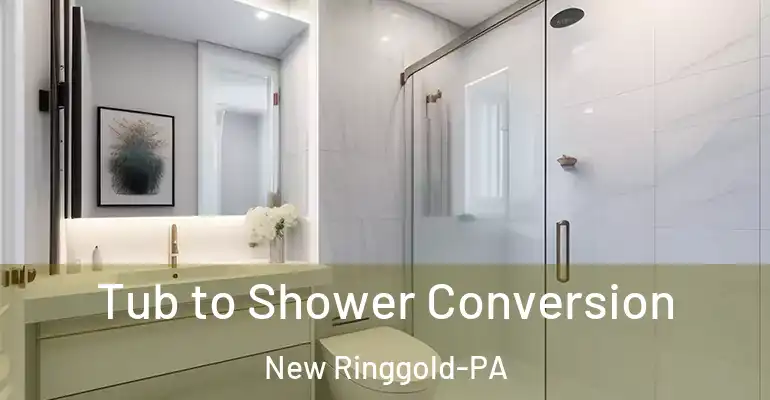 inner Bathroom imggen Tub to Shower Conversion New Ringgold-PA