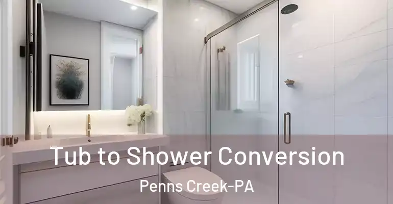 inner Bathroom imggen Tub to Shower Conversion Penns Creek-PA